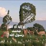 Faouzi.B فوزي.ب profil fotoğrafı