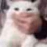 Profilbild von cj