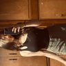 carlotica;) profil fotoğrafı