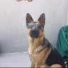 patriotpaddy profil fotoğrafı