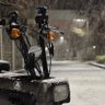 Turo (トロ) profil fotoğrafı