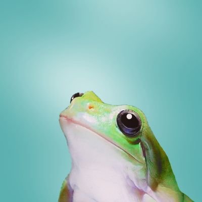 OKURAmom's profile picture