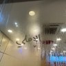 Ilicv4 的头像