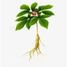 Фото профиля Barry Wang 2012