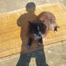 meitei chanura's profile picture