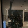 Asmin Deniz profil fotoğrafı