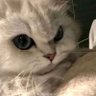 Profilbild von nia