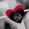 طالبِ علم's profile picture