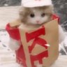 MiU's profile picture