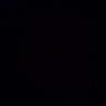 bodi's profile picture