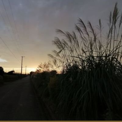 さよなら昨日の私's profile picture