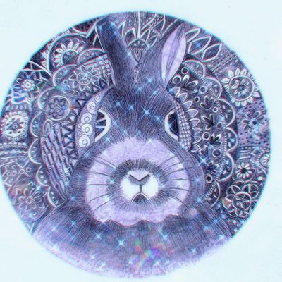 jkRZXJM8ZXUyA8O's profile picture