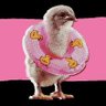 Profilbild von Lyzer 🕊️