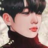 Profilbild von 뽀끼데스