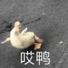 不要说话 的头像