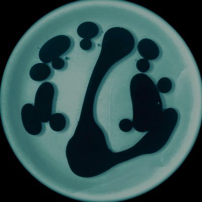 Matt Champion's profile picture