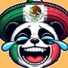 AYOTZIPANDA profil fotoğrafı