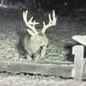 Bobby MF’n Jr.'s profile picture