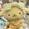 hakuma 的头像