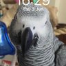 joanna's profile picture