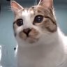☻︎Floolie☹︎ profil fotoğrafı