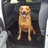 Kevin Crawford 的头像