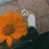 Фото профиля •° أميرة ♚•°