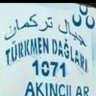 veysel's profile picture