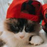 Rhuan com h profil fotoğrafı