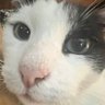 Profilbild von Daniuuu