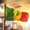 A M Y H E R 的头像
