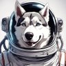 SpaceDogs 的头像