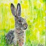 Hazel Bunny 的头像