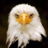 Linda Kaiser's profile picture