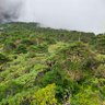 Фото профиля 岚山
