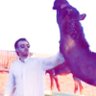 Profilbild von فهد الشريم 💛