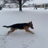 MikeV profil fotoğrafı