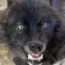 Profilbild von Jesse