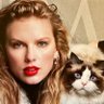 BlueCatSwiftie ✨ profil fotoğrafı