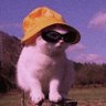 Lia's profile picture