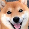 The power of truth's profile picture