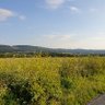 Katja 的头像