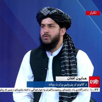 همایون افغان( Hamayoun Afghan )'s profile picture