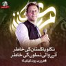 Ali Mansoor's profile picture
