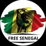 domu rew mi 🇸🇳's profile picture