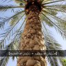Фото профиля ⁂ عمر العتيبي  ⁂