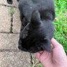 Фото профиля Giorgios