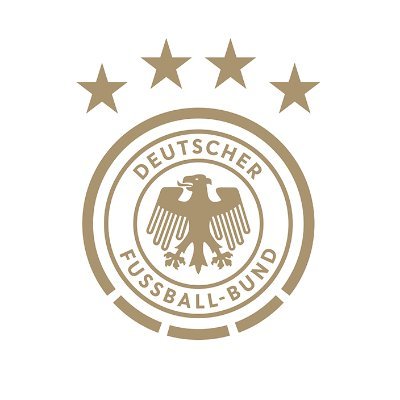 DFB-Team's profile picture