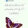 Sahaba G's profile picture