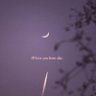 Фото профиля sky&luna